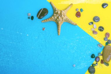 Yaz tatili yaratıcı konsepti. Su sıçramalı kağıt havuz, deniz yıldızı, deniz kabuğu, kıyı şeridi mavi arka plandaki taşlar. Üst görünüm, düz görünüm, kopyalama alanı