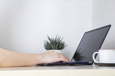 Evden beyaz masada dizüstü bilgisayar için çalışan genç bir kadın. Ofisindeki klavyeye hafif arka planda taşınabilir bilgisayar kullanan kız