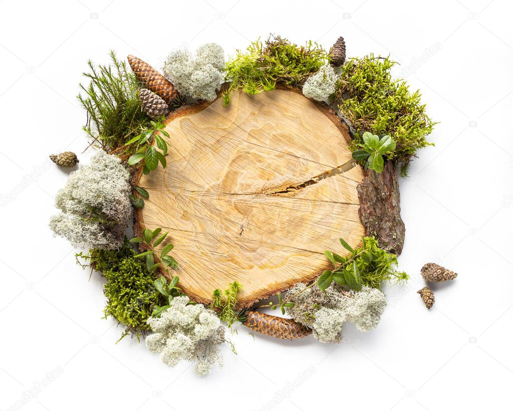 Organic frame around sawn tree trunk made of natural forest materials, moss, tree bark, cones, leaves. Concept of eco, environmental protection, natural products. Copy space, flat lay, top view.