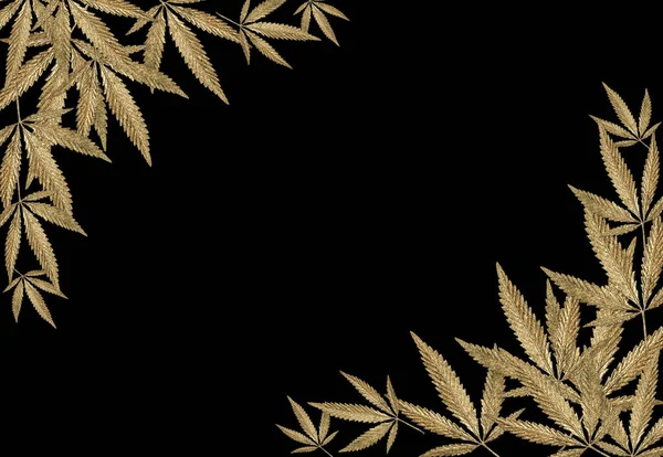 Abstrato Padrão Dourado Folhas Cannabis Marijuana Voar Sobre Fundo Preto — Fotografia de Stock