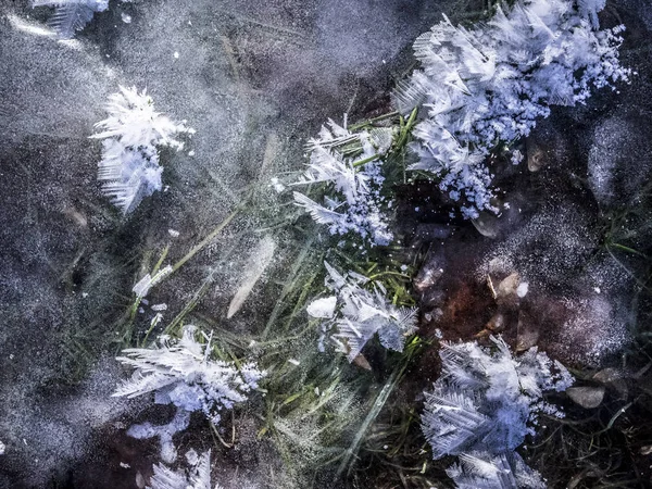 Снігові кристали на льоду — стокове фото