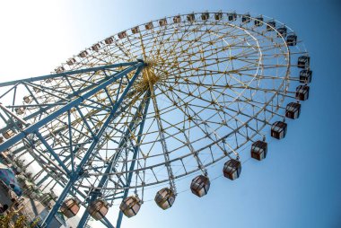 Sevinç tekerlek ışığında