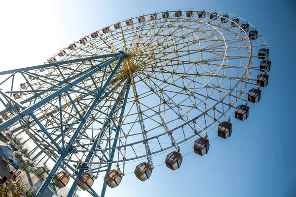 Sevinç tekerlek ışığında