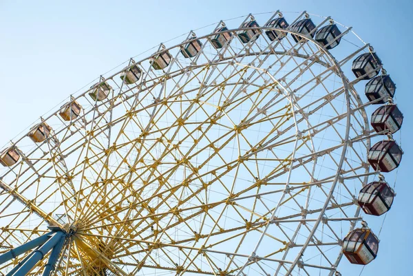 Sevinç tekerlek ışığında