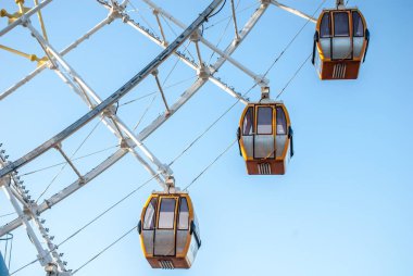 Sevinç tekerlek ışığında