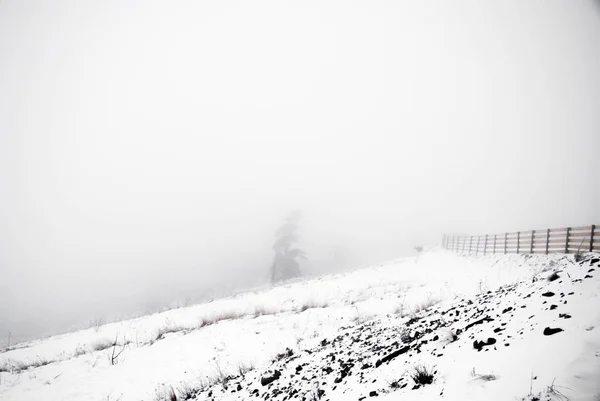 Drewniany Płot Drzewo Mgle Zimie Zimowa Scena Śniegiem Mgle — Zdjęcie stockowe