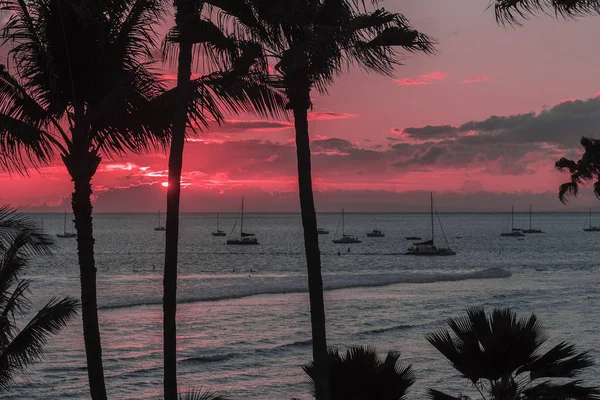 Puesta de sol rosa sobre veleros Maui — Foto de Stock