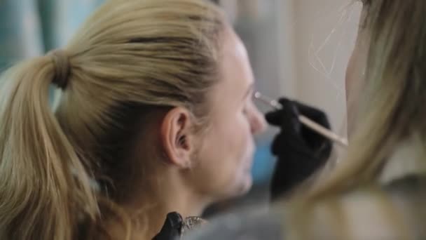 The make-up artist drawing eyebrows to a pretty girl with a professional brush in front of a mirror in a beauty salon. — Stock Video