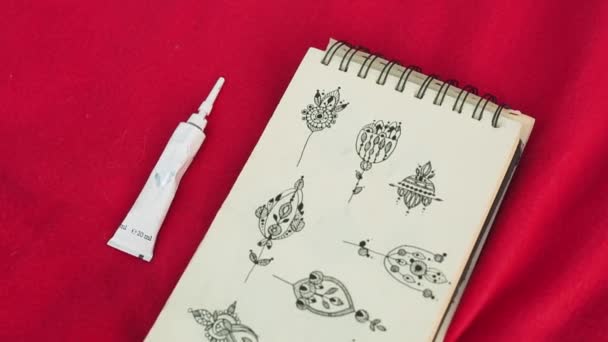 SketchBook με σκίτσα και ένα σωληνάριο βαφής σε έναν κόκκινο καρό. — Αρχείο Βίντεο