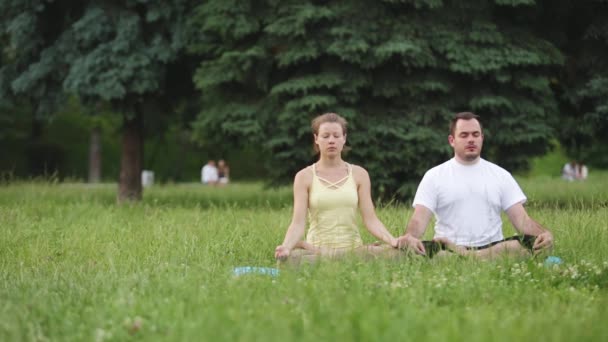 Een man en een vrouw mediteren in gelukzaligheid. Jonge yoga-instructeurs praktijk in een stadspark op groen gras. Succesvolle jonge mensen voeren acro yoga oefeningen. — Stockvideo