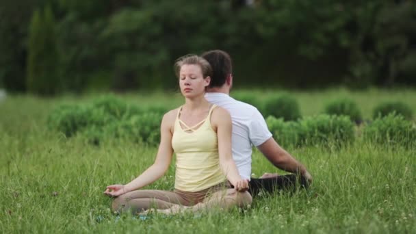 En man och en kvinna meditera i salighet. Unga yoga instruktörer praxis i en park på grönt gräs. Framgångsrika ungdomar utföra acro yogaövningar. — Stockvideo