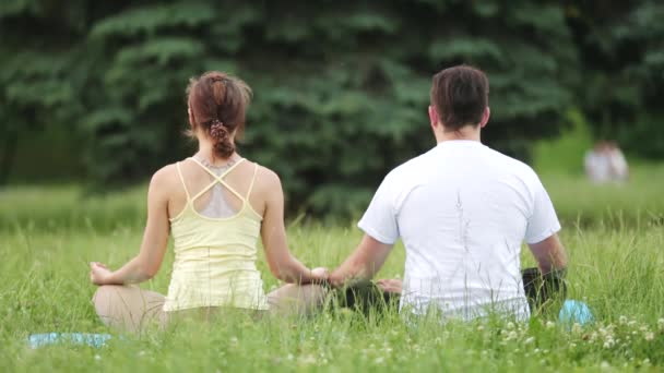 Een man en een vrouw mediteren in gelukzaligheid. Jonge yoga-instructeurs praktijk in een stadspark op groen gras. Van achteren kijk. — Stockvideo