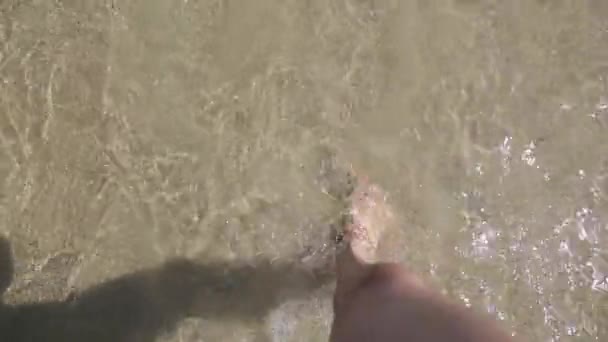 Pies masculinos bronceados en la playa de arena a orillas del mar, vista alta. Hombre caucásico caminando descalzo en la orilla del mar con agua cubriendo los pies. Concepto de verano y relax . — Vídeos de Stock