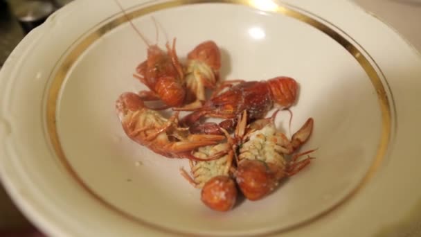 As mãos de uma pessoa irreconhecível estendem um prato de lagostim fervido vermelho. Comida do mar fresca cozinhada em casa está pronta para comer. Jantar de férias . — Vídeo de Stock