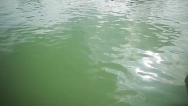 Летние солнечные отражения на поверхности воды. Красивое море или океан . — стоковое видео