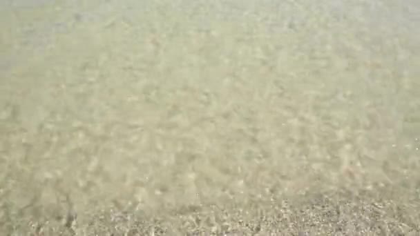 Summer sun reflections at the water surface. Beautiful golden sand on the sea or the ocean shore. — Stock Video