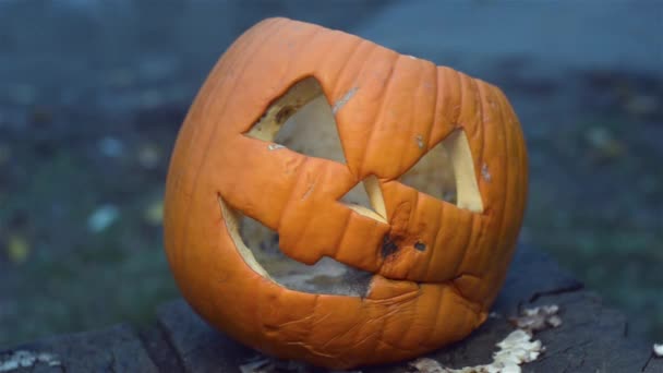 Nahaufnahme von Jack-o-Laterne für Halloween gemacht. Gammeliger, mit Schimmel überzogener Kürbis steht auf einem verbrannten Baumstumpf. Schlechtes Oktoberwetter. — Stockvideo