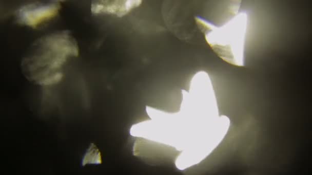 Kleurrijke lichte pulsen en gloed toe. Mooie gele lichte lekkage op donkere achtergrond met. Echte lens flares ideaal voor abstracte beweging achtergrond. — Stockvideo