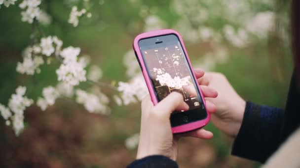 若い女の子は、スマート フォンを使って花の写真を撮る. — ストック動画