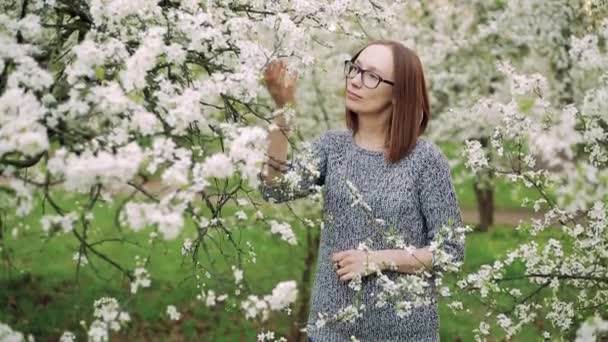 Fille admire les fleurs de cerisier blanc. Main féminine touche une branche d'un arbre à fleurs . — Video