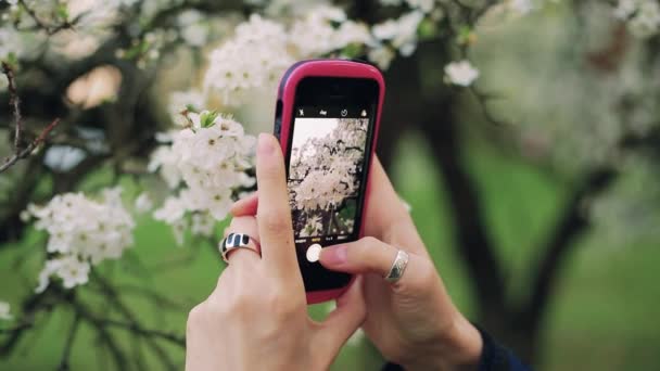 Κορίτσι παίρνει τις εικόνες των λουλουδιών χρησιμοποιώντας ένα smartphone με διαφορετική διαμόρφωση. — Αρχείο Βίντεο