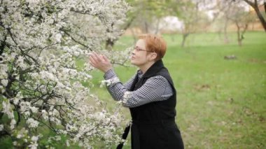 Şık kadın kıdemli bakar ve kiraz ağacı çiçeği kokuyor. Ağır çekim.