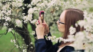 Güzel kız fotoğrafları çiçeği bahar ağacı çiçek bir akıllı telefon alır..