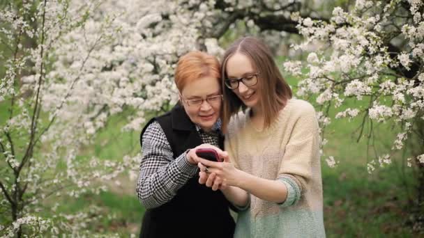 Starší matka a její dospělá dcera, sledování fotografií v rozkvetlé zahradě.