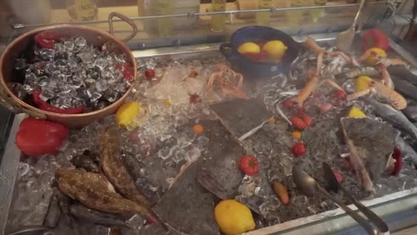 Míchané mořské plody: mušle, gobies, platýs bradavičnatý, krevety královské na ledovém pultu v kuchyni restaurace. — Stock video