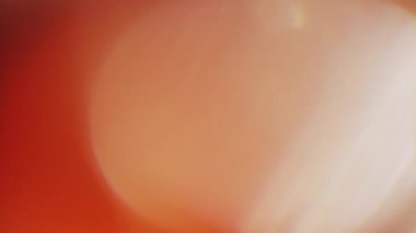 Soyut sıcak mercek fişekleri. Moda ışık başkalaşımları. Işıklar kaotik bir şekilde parlıyor.. 