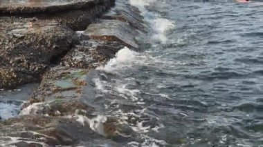 Deniz sörfü, Karadeniz dalgaları sahildeki kayalara çarpıyor, güneşli hava, ağır çekim.