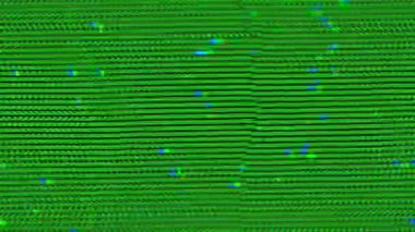 Gelişigüzel gelecek psikedelik holografik arka plan. Projeniz için üstüste eklentiler. 