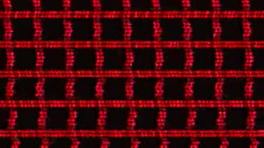 Sıradan, siber punk, zarif, yanardöner arka plan.. 