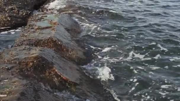 Le onde del Mar Nero si infrangono sulla riva di pietra in una serata estiva soleggiata . — Video Stock