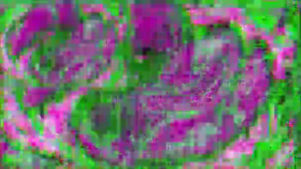 Computergegenereerde glitched footage, holografische corrupte data concept. — Stockvideo