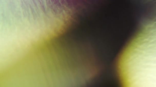悪いトリップ効果フレア虹色の背景を催眠術。ループアニメーション. — ストック動画