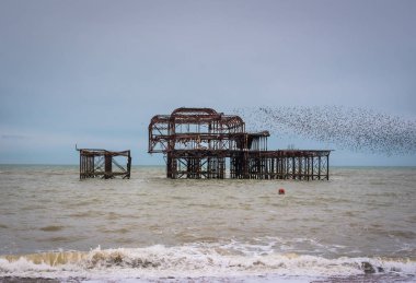 brighton west pier