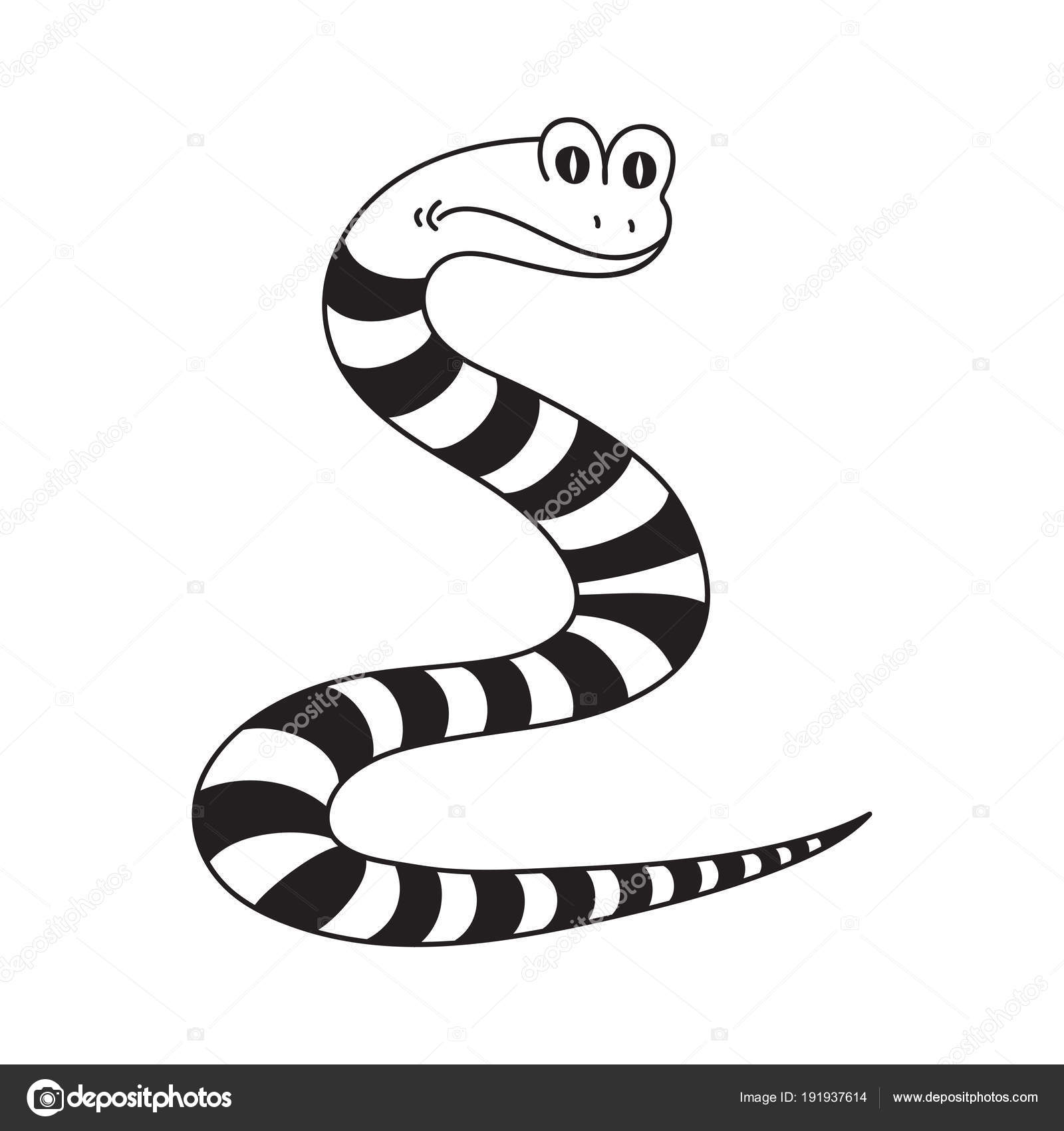 Striped black and white snake, isolated object. Stock Vector Image by  ©marin1974 #191937614