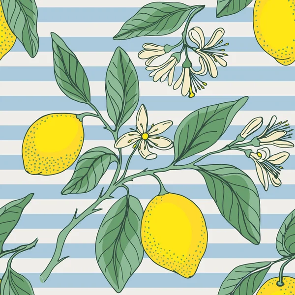 Zitrone mit nautischen Streifen — Stockvektor
