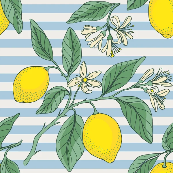 Lemon with nautical striped — Stock Vector