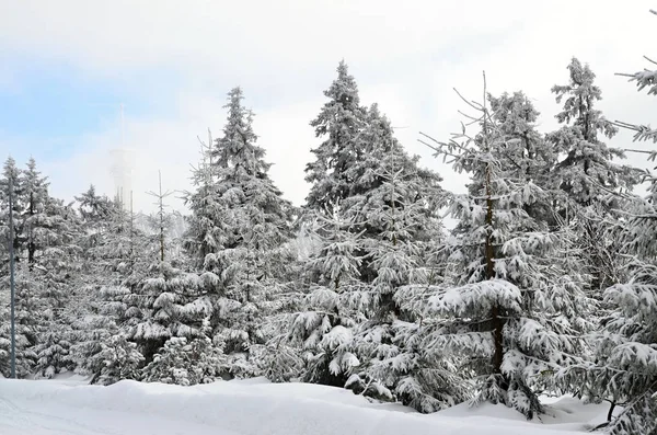 Montañas Mineras Klinovec República Checa Invierno —  Fotos de Stock