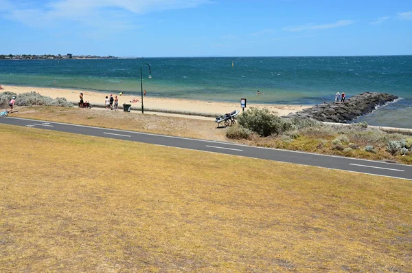Australia Victoria Vista Sull Oceano Con Bagnanti Surfisti — Foto Stock