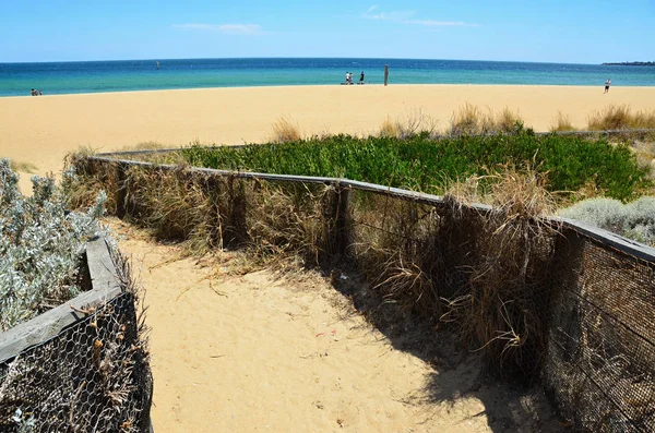 Australia Victoria Vista Sull Oceano Con Bagnanti Surfisti — Foto Stock