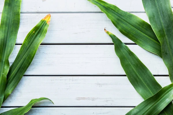 tropikal doğa ahşap arka plan üzerinde bırakır.