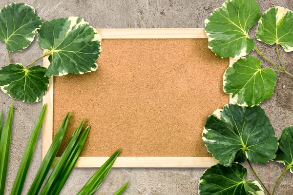 Çimento zemin üzerine yeşil yaprak ağaç yaz ve çerçeve resim 