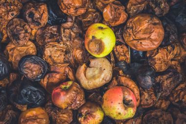 Çürük elma yalan mezarda