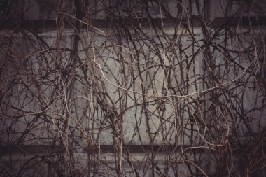 Taş doku küçük tuğla.