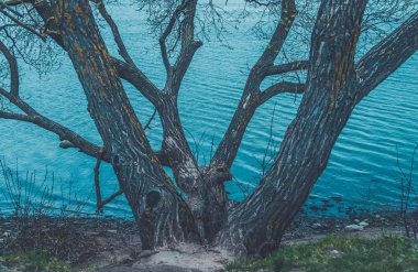 Taşlı kıyı ve açık mavi su ile geniş gölün görünümü yenilemeyi. Nehir üzerinde köprü. Ağaçlar suya yakın