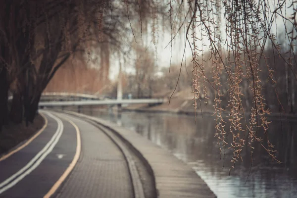 Bike path for cyclists. Bike lane in the park. Rest zone. Rest at the water — Stock Photo, Image