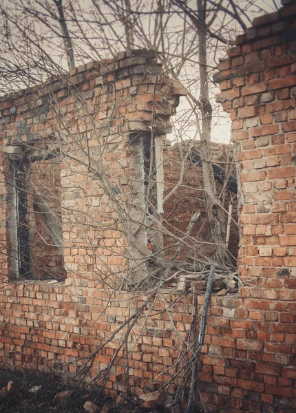 Ruins of a ruined old large factory. — Stock Photo, Image